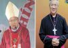 bổ nhiệm Giám mục Giáo phận Vinh và Hà Tĩnh